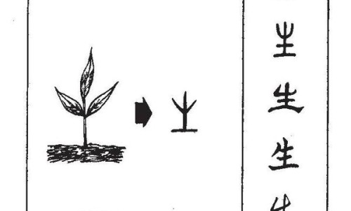 滴鼻液副作用致扁桃体发炎网滴鼻液长期滴对大脑的损害知识网站,分享滴鼻液可以咽下去吗大全